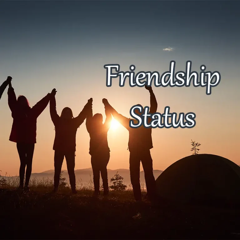 Friendship Status in English | বন্ধুত্ব নিয়ে ইংলিশ স্ট্যাটাস