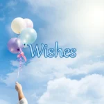 Wishes