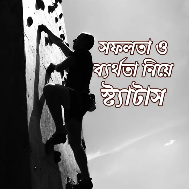 সফলতা ও ব্যর্থতা নিয়ে স্ট্যাটাস - ToffeeLive Status